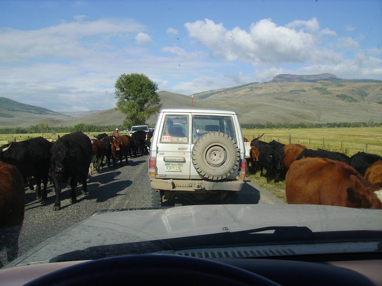 wheelin_073