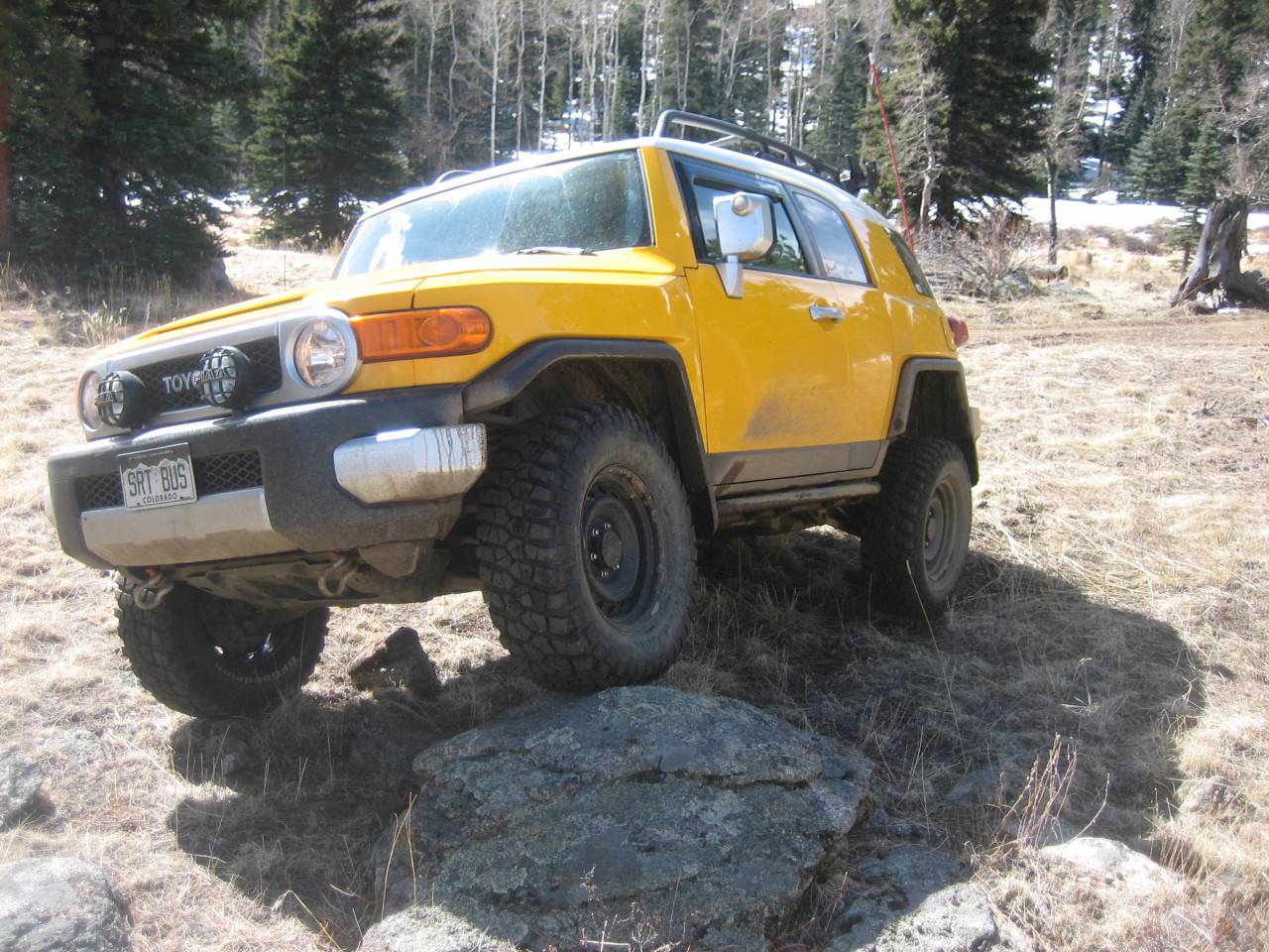 spring_2010_023