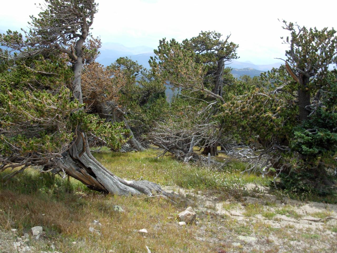 DSCN1890