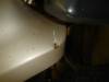DSC01204.JPG