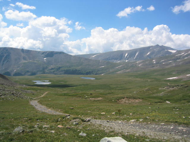 115_1590