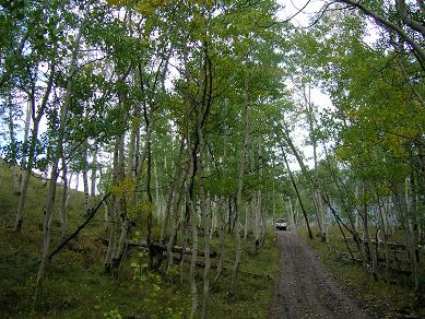 DSCN0037