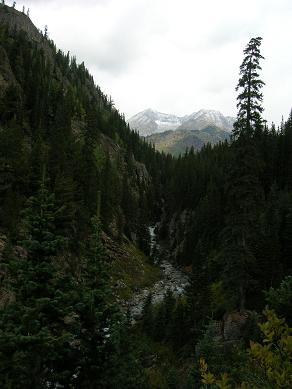 DSCN0117