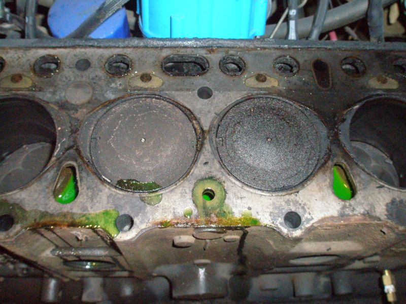 w_closeup_3_4.jpg
